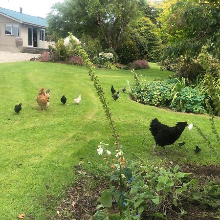 Southland Organic Farmstay Invercargill Eksteriør bilde