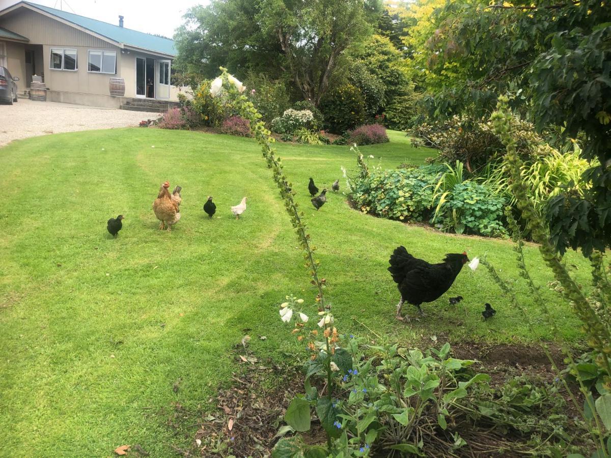 Southland Organic Farmstay Invercargill Eksteriør bilde